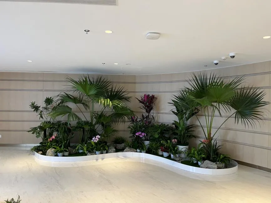 花卉租赁选宁波海曙，实惠价格超诱人！